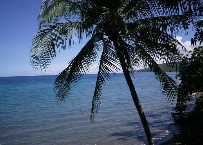 Flores Beachside 4* Catmon