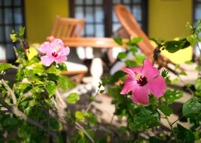 Flores Beachside 4*