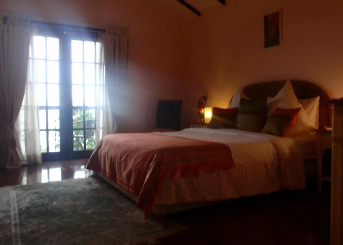 Hotel Flores Beachside Catmon